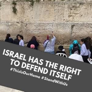 Meet your Posher, Bobbie